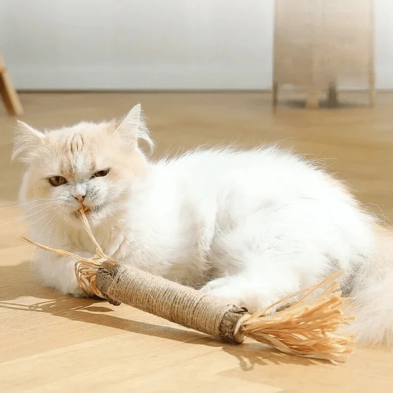 Bâtonnets dentaires naturels pour chats
