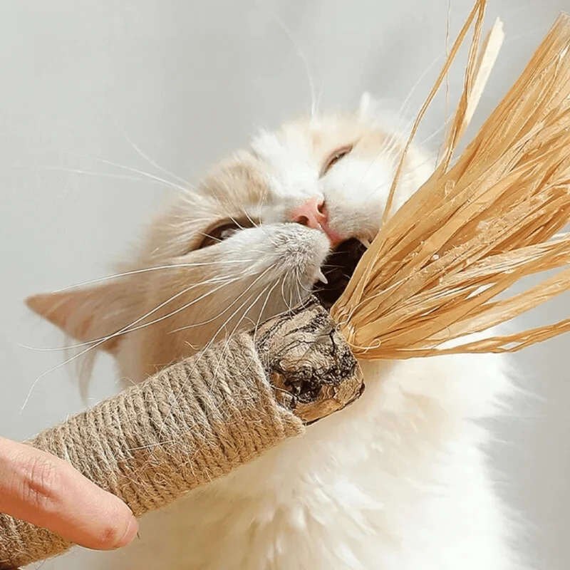 Bâtonnets dentaires naturels pour chats
