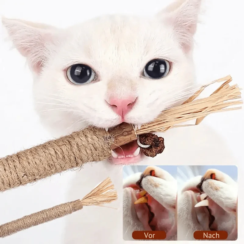 Bâtonnets dentaires naturels pour chats
