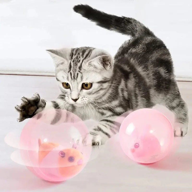 Jouet interactif pour chats : Hamster Roulant