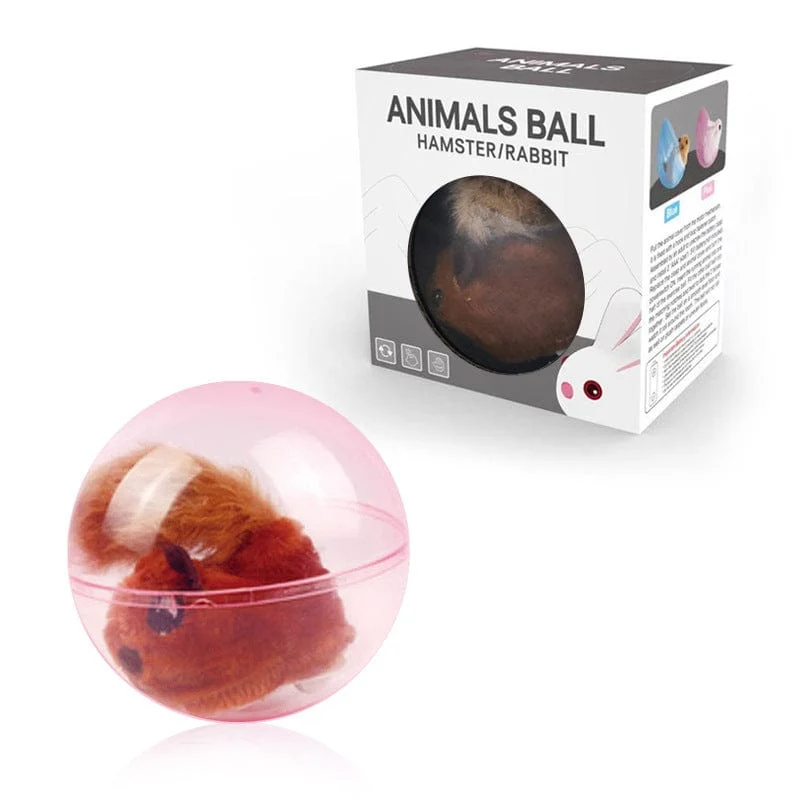 Jouet interactif pour chats : Hamster Roulant
