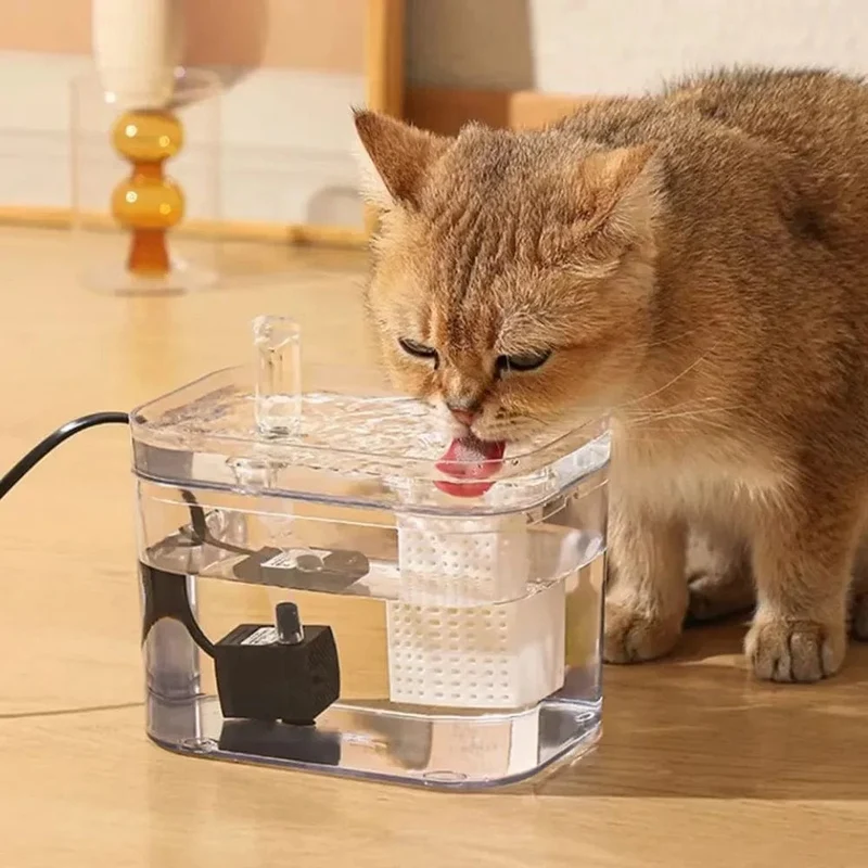 Fontaine à eau filtrée pour animaux