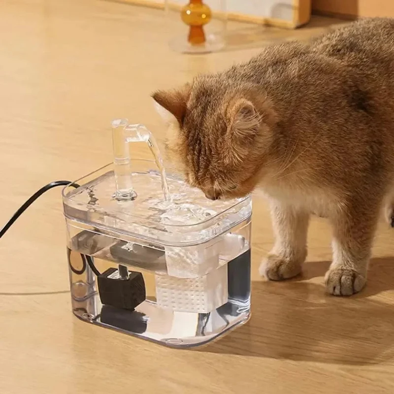 Fontaine à eau filtrée pour animaux