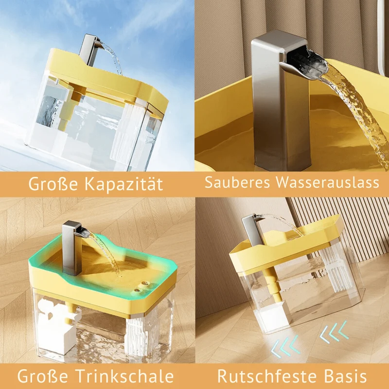 Fontaine à eau filtrée pour animaux