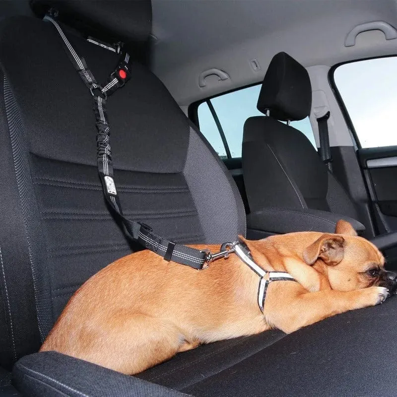 Ceinture de sécurité auto pour chiens : Sécurité et confort en voiture
