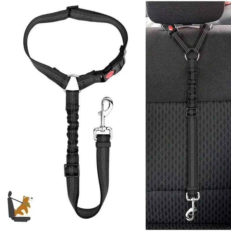 Ceinture de sécurité auto pour chiens : Sécurité et confort en voiture