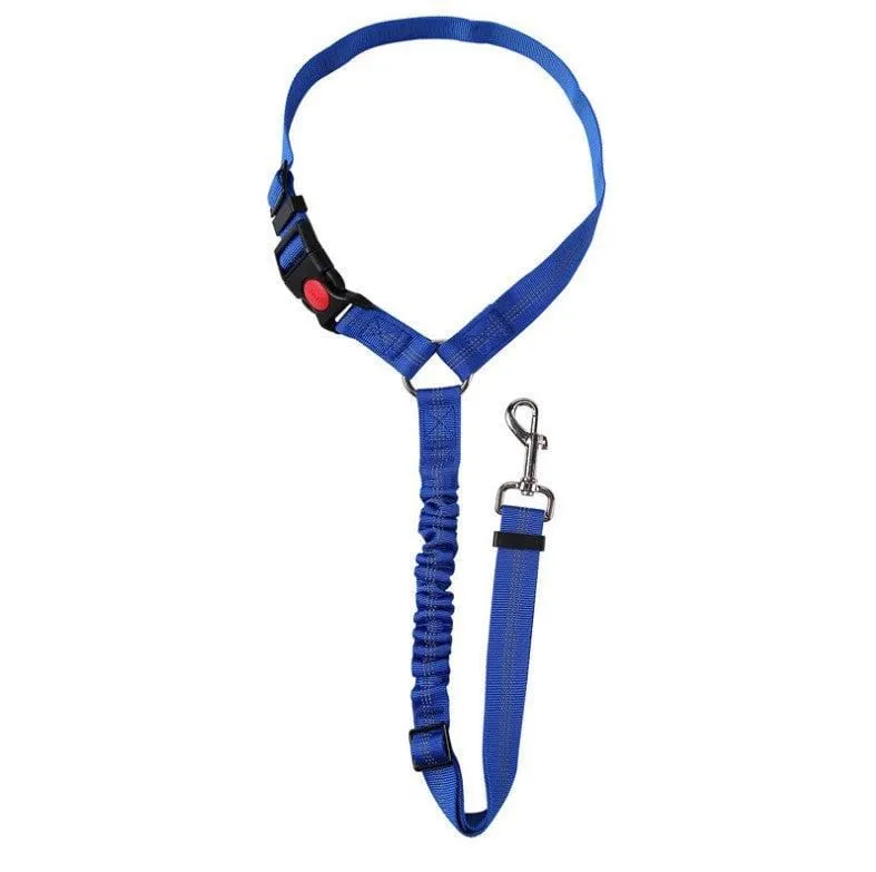 Ceinture de sécurité auto pour chiens : Sécurité et confort en voiture
