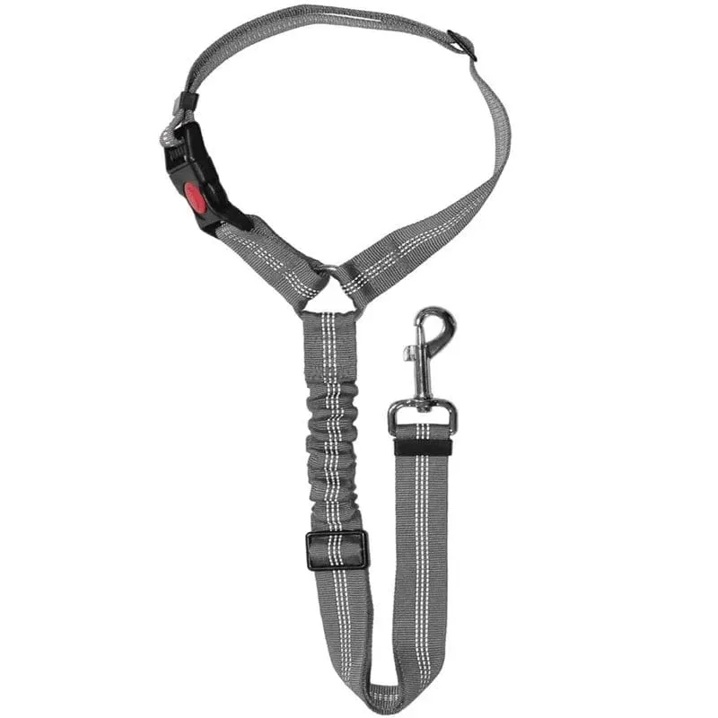 Ceinture de sécurité auto pour chiens : Sécurité et confort en voiture