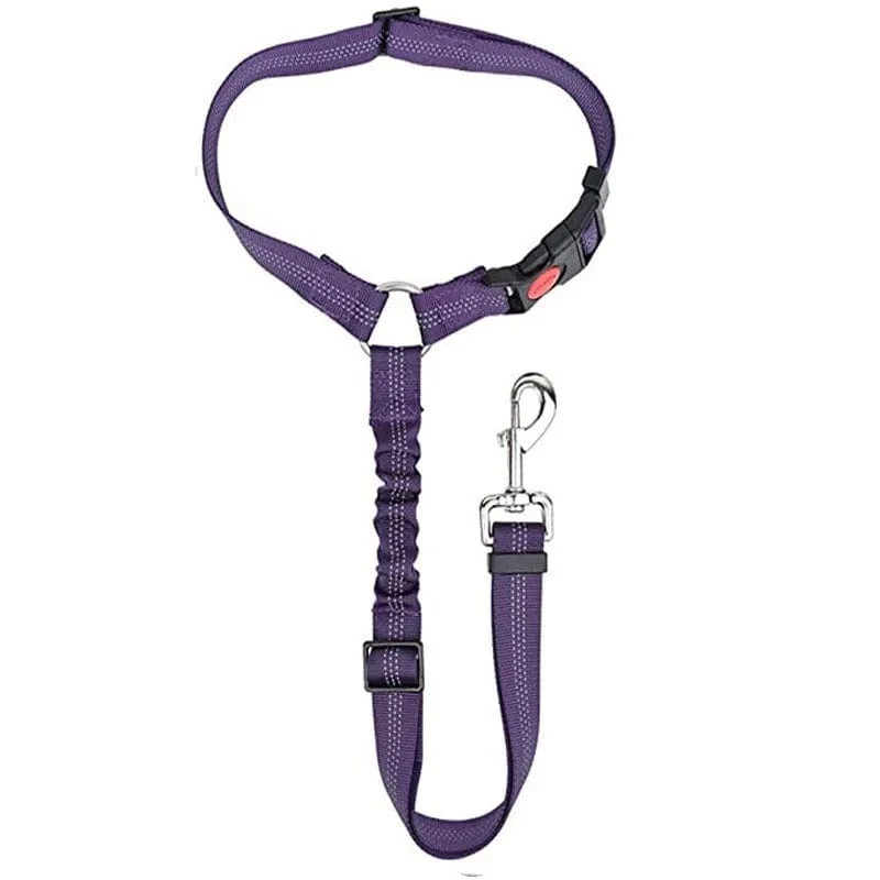 Ceinture de sécurité auto pour chiens : Sécurité et confort en voiture