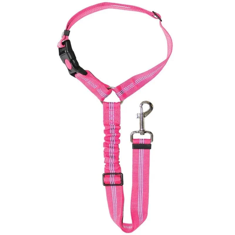 Ceinture de sécurité auto pour chiens : Sécurité et confort en voiture