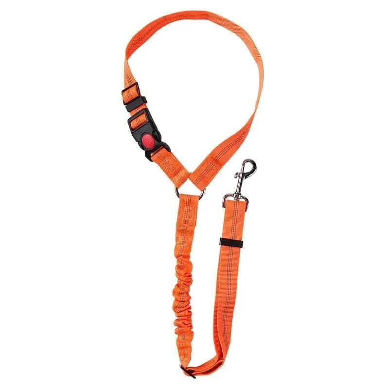 Ceinture de sécurité auto pour chiens : Sécurité et confort en voiture
