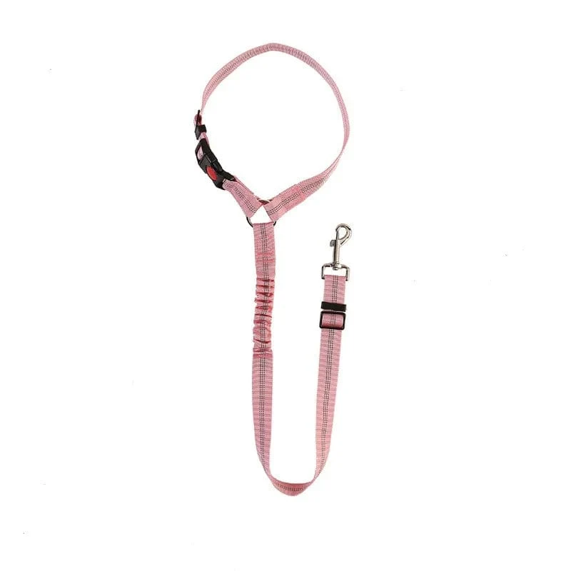 Ceinture de sécurité auto pour chiens : Sécurité et confort en voiture