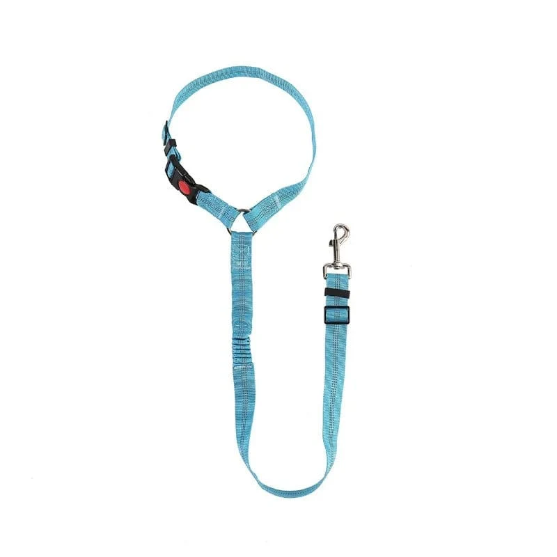 Ceinture de sécurité auto pour chiens : Sécurité et confort en voiture