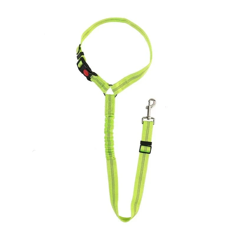 Ceinture de sécurité auto pour chiens : Sécurité et confort en voiture