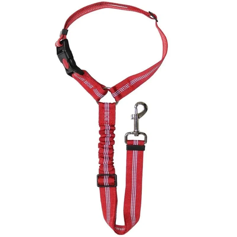 Ceinture de sécurité auto pour chiens : Sécurité et confort en voiture
