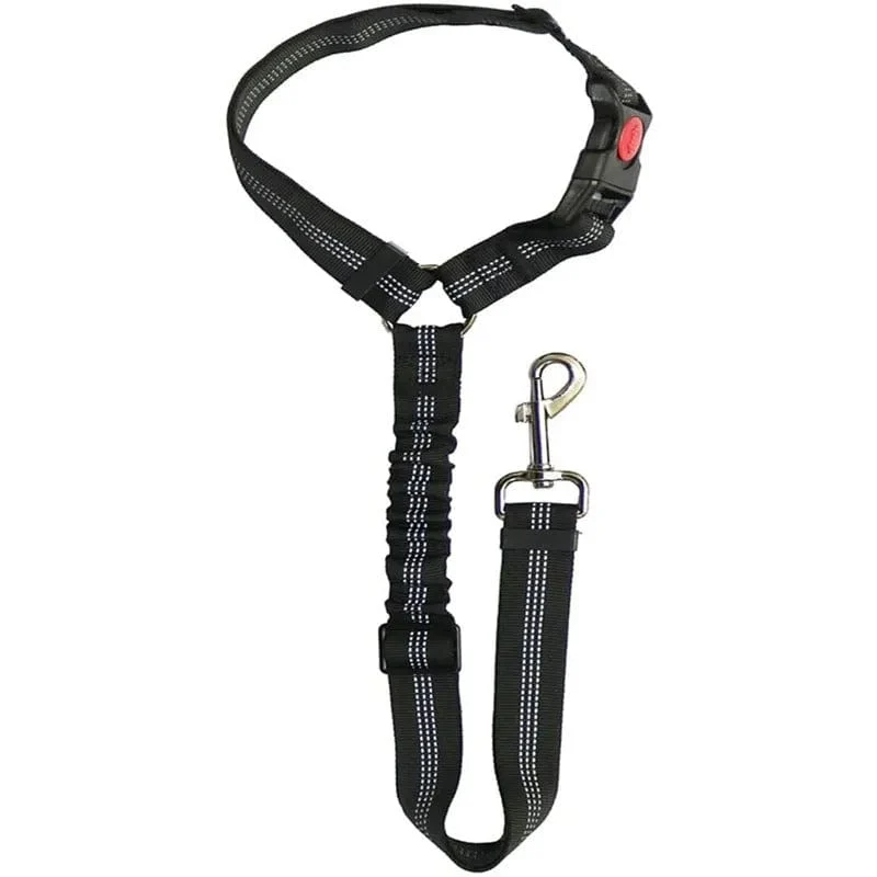 Ceinture de sécurité auto pour chiens : Sécurité et confort en voiture