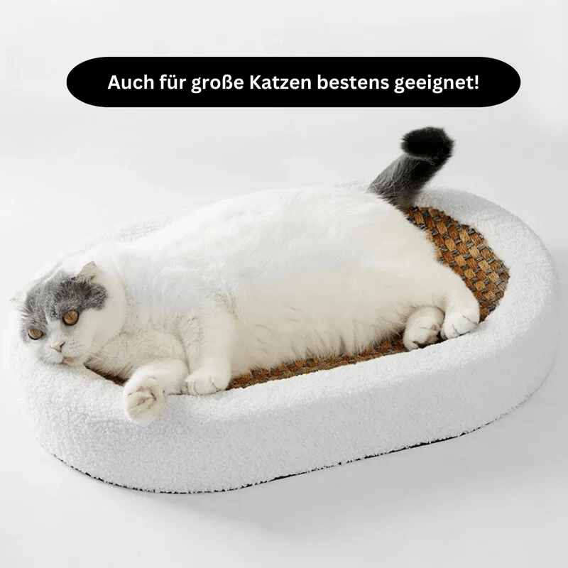 Lit pour chat luxueux avec griffoir intégré