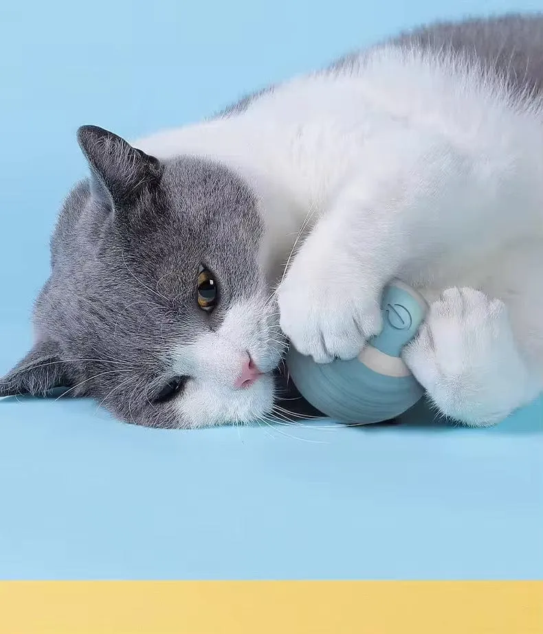 Balle Interactive pour Chats Actifs et Heureux