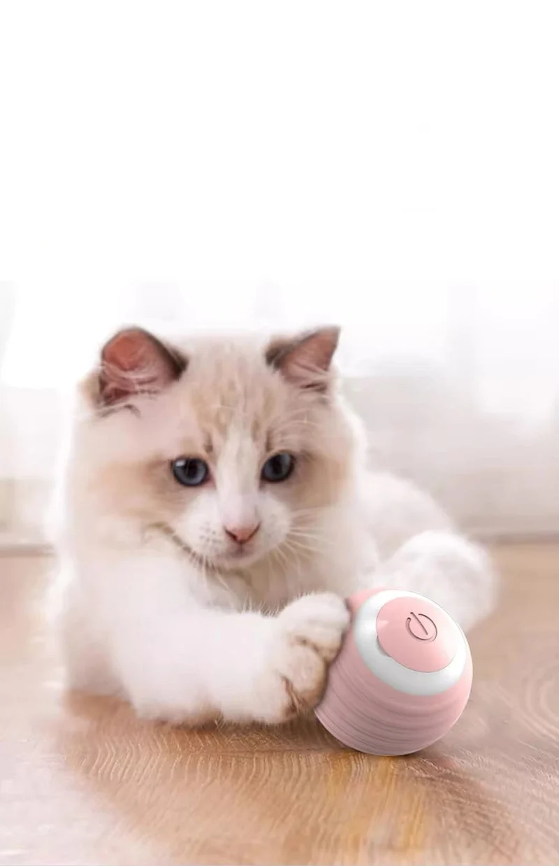 Balle Interactive pour Chats Actifs et Heureux
