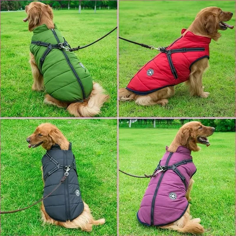 Veste d'hiver imperméable pour chiens avec harnais intégré