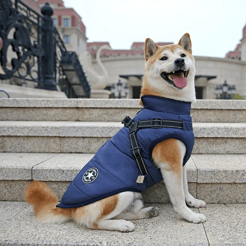 Veste d'hiver imperméable pour chiens avec harnais intégré