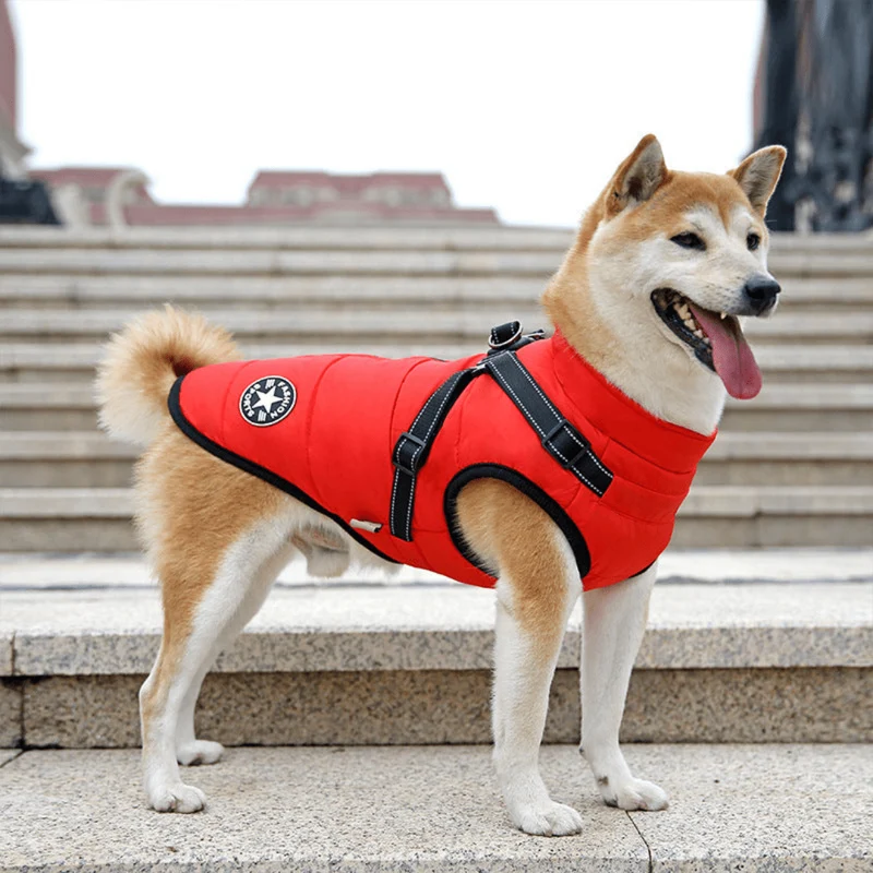Veste d'hiver imperméable pour chiens avec harnais intégré