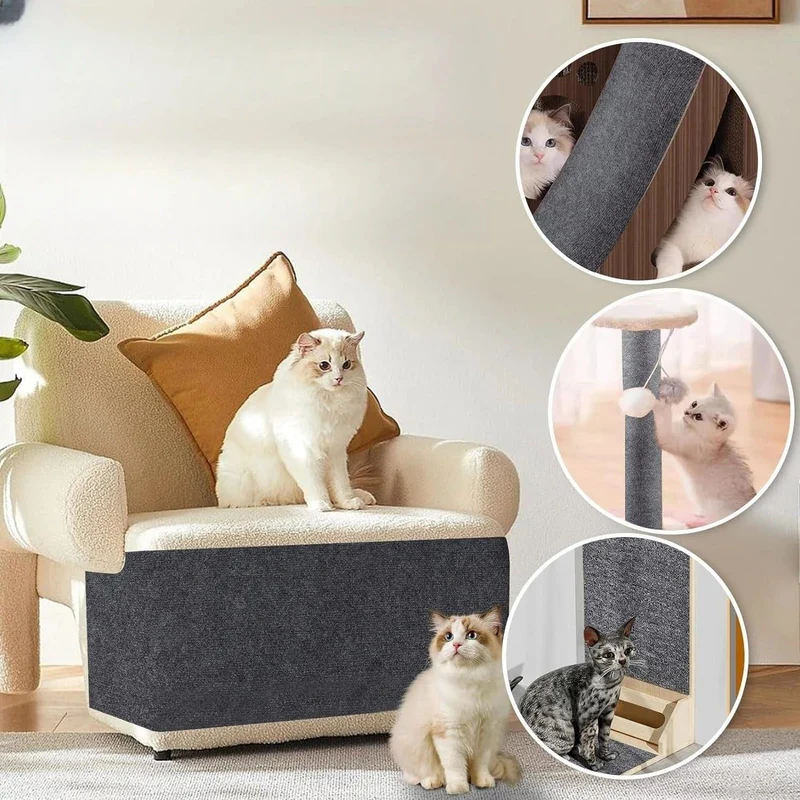 Protection Élégante Anti-Grattage pour Chats
