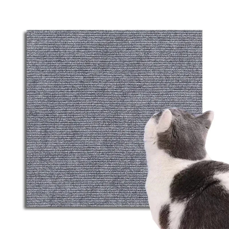 Protection Élégante Anti-Grattage pour Chats