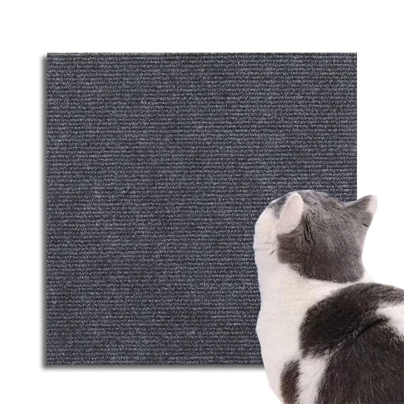 Protection Élégante Anti-Grattage pour Chats