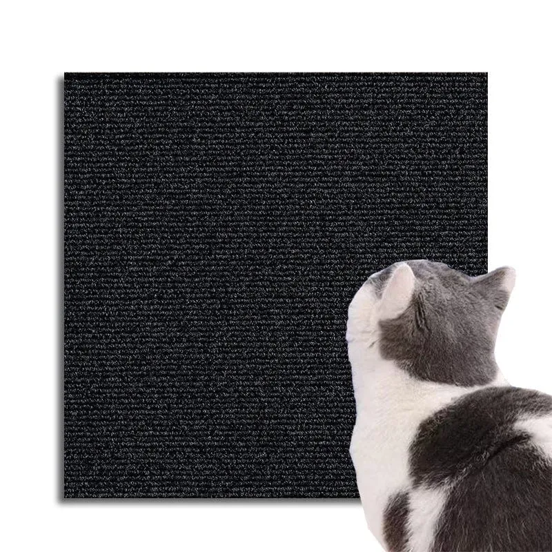 Protection Élégante Anti-Grattage pour Chats
