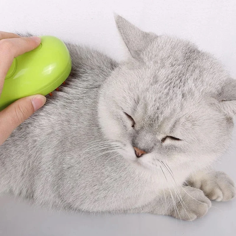 Brosse à vapeur pour un pelage éclatant