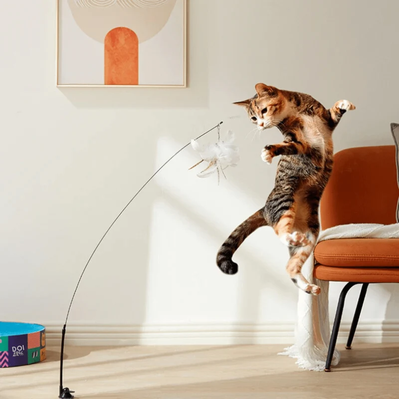 Vogelspiel : Jouet interactif pour chats