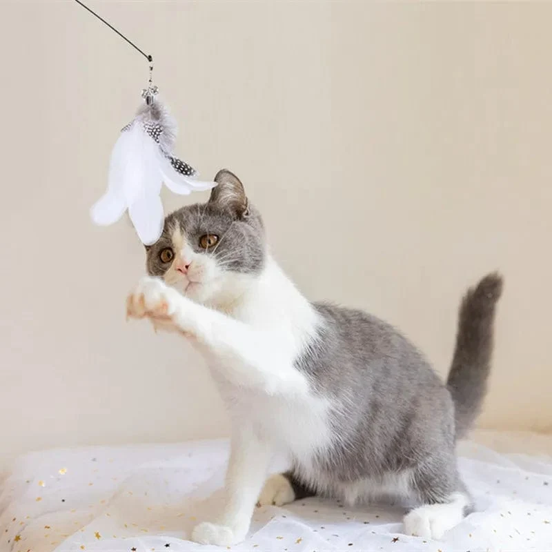 Vogelspiel : Jouet interactif pour chats