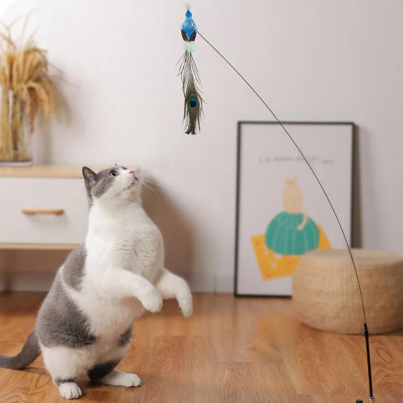 Vogelspiel : Jouet interactif pour chats
