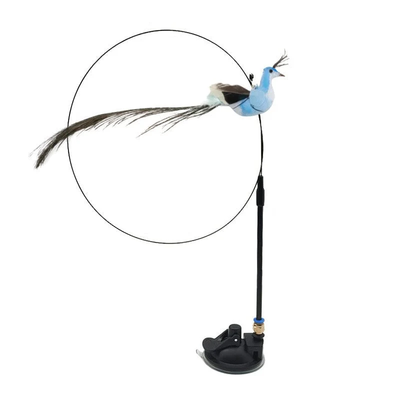 Vogelspiel : Jouet interactif pour chats