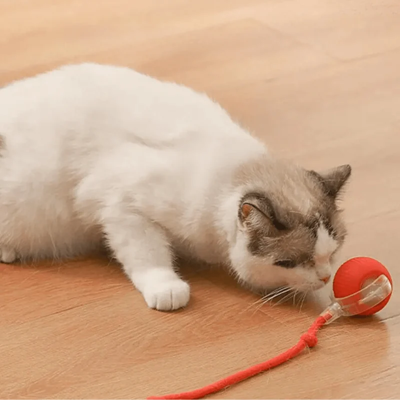 Balle interactive pour chats avec queue réaliste