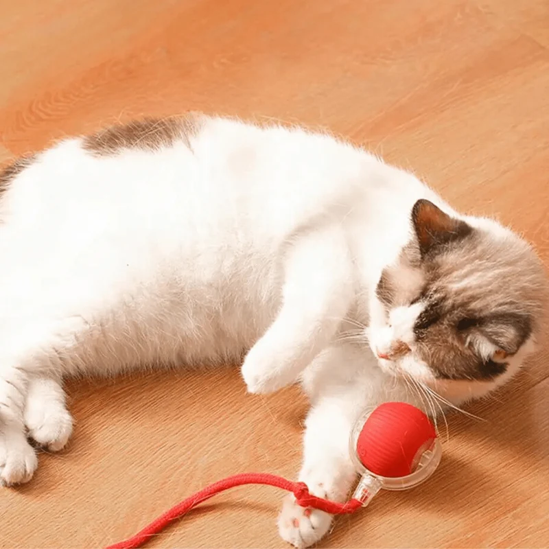 Balle interactive pour chats avec queue réaliste