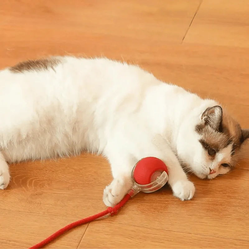 Balle interactive pour chats avec queue réaliste