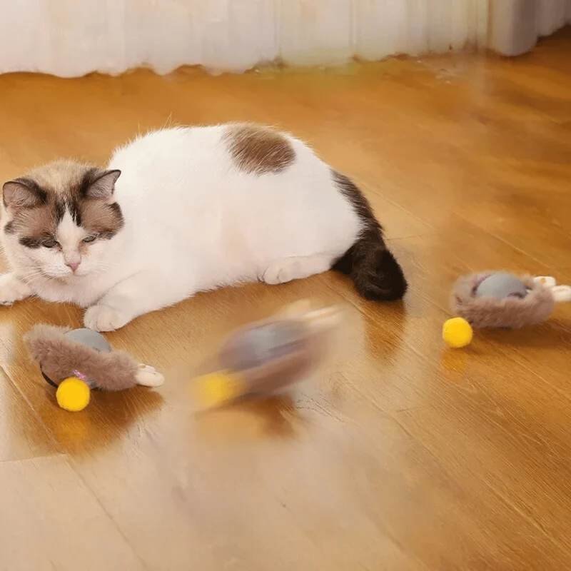 Balle interactive pour chats avec queue réaliste