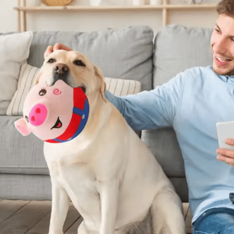 HundeRover : Jouet mobile interactif pour chiens