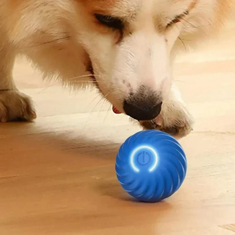 Jouet interactif roulant pour chien