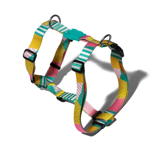 Zee.Dog Salina H Harness