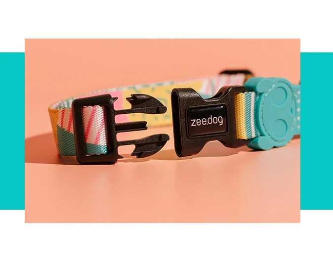 ZEE.DOG COLLAR SALINA
