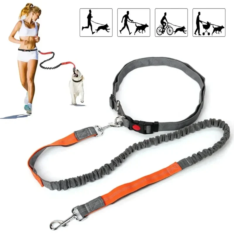 Laisse pour chien rétractable et ajustable, mains libres