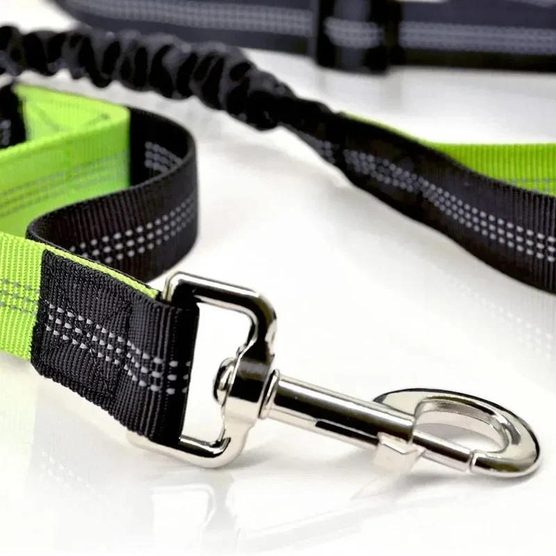 Laisse pour chien rétractable et ajustable, mains libres