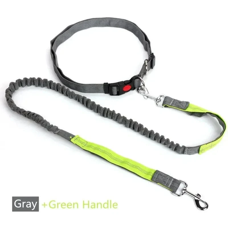 Laisse pour chien rétractable et ajustable, mains libres