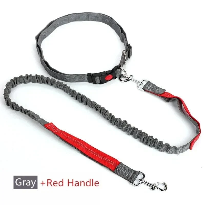 Laisse pour chien rétractable et ajustable, mains libres