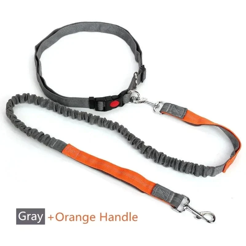 Laisse pour chien rétractable et ajustable, mains libres