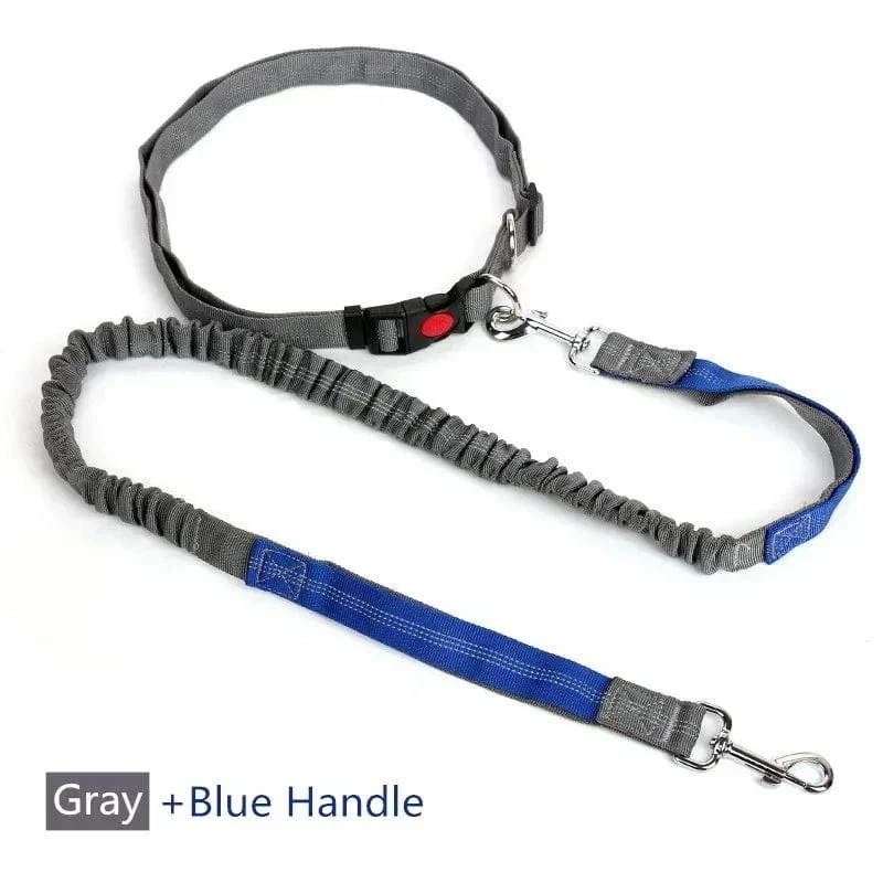 Laisse pour chien rétractable et ajustable, mains libres