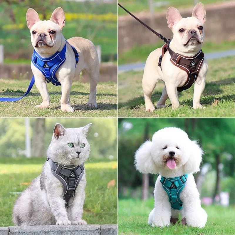 Harnais pour chien Réfléchissant et Ajustable